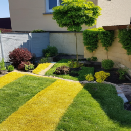 Abattage : enlevez les arbres dangereux ou indésirables de votre jardin en toute sécurité Vitre